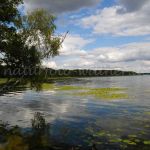 Nationalpark Müritz Foto W. Willner_0850