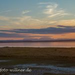 Nationalpark Neusiedler See Foto W. Willner DSC_6545