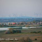 Nationalpark Neusiedler See Foto W. Willner DSC_6550