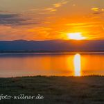 Nationalpark Neusiedler See Foto W. Willner DSC_6557