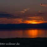 Nationalpark Neusiedler See Foto W. Willner DSC_6567