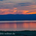Nationalpark Neusiedler See Foto W. Willner DSC_6589