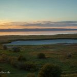 Nationalpark Neusiedler See Foto W. Willner IMG_0040