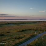 Nationalpark Neusiedler See Foto W. Willner IMG_0041