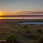 Nationalpark Neusiedler See Foto W. Willner IMG_0042