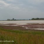 Nationalpark Neusiedler See oberer Stinkersee Foto W. WillnerIMG_9894