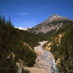 Nationalpark Schweiz Foto W. Willner 908