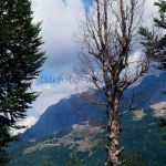 Nationalpark Sutjeska Bosnien Foto W. Willner 480