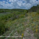 Naturreservat Padurea Hagieni Naturfoto Willner IMG_9298