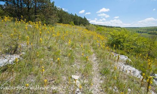 Naturreservat Padurea Hagieni Rumänien Foto W. Willner1_2017-08-26_0554_C0000_000022