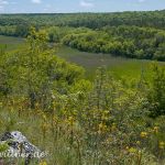 Naturreservat Padurea Hagieni Rumänien Foto W. Willner1_2017-08-26_0555_C0002_000022