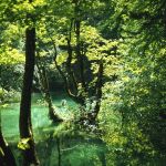 Plitvice Nationalpark Kroatien Foto W. Willner 928