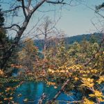 Plitvice Nationalpark Kroatien Foto W. Willner_8775