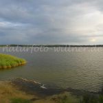 Specker See Nationalpark Müritz Foto W. Willner_0744
