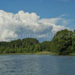 Specker See Nationalpark Müritz Foto W. Willner_0765