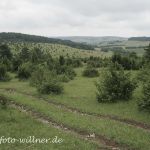 Truppenübungsplatz Hammelburg 1 Foto W. Willner