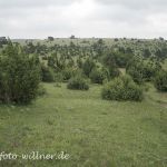 Truppenübungsplatz Hammelburg 4 Foto W. Willner