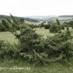 Truppenübungsplatz Hammelburg 5 Foto W. Willner