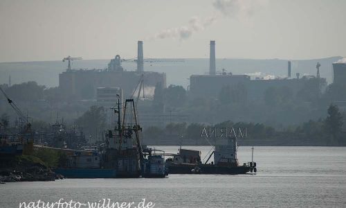 Tulcea Donaudelta Rumänien Naturfoto WillnerDSC_2540
