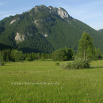 Weidmoos bei Oberammergau 4 Foto W. Willner
