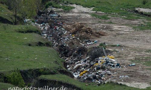 Wilde Müllkippen in Rumänien Donaudelta Foto W. Willner DSC_0042