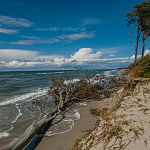 Nationalpark Darss Foto W. Willner_2016-08-01_1436_C0001_000018