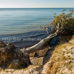 Nationalpark Darss_2016-07-20_1908_C0000_000024