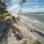 Nationalpark Vorpommersche Boddenlandschaft Darss Weststrand Foto W. Willner_6793
