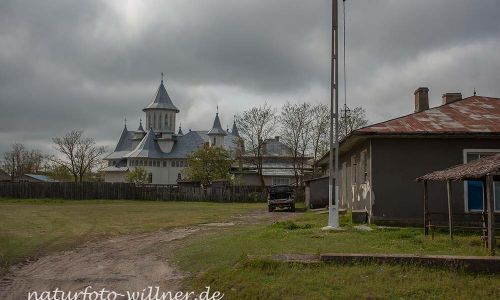 Donaudelta Letea Naturfoto WillnerIMG_8917