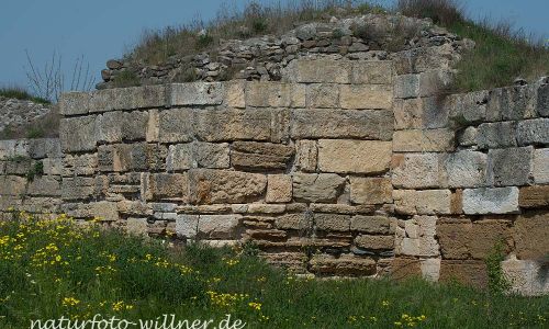 Histria Dobrogea Rumänien Naturfoto WillnerDSC_0730