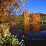 Herbstlandschaft Foto W. Willner 176