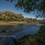 Isar Sieben Rippen bei Landshut Foto W. Willner_7740