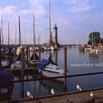 Konstanz Hafen Foto W. Willner 028
