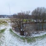 Alte Korbweide Oftlfing Foto W. Willner 12