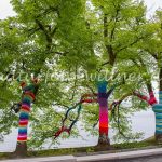 Bodensee Insel Mainau Bäume mit Stricküberzügen Foto W. Willner_3306