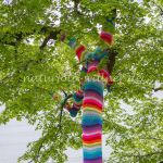 Bodensee Insel Mainau Bäume mit Stricküberzügen Foto W. Willner_3309