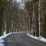 Eichenallee 5 Foto W. Willner