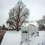 Lagerweide Moosburg Foto W. Willner 27