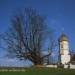 Linde am Friedhof Holzhausen Starnberger See Foto W. Willner 576