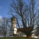 Linde am Friedhof Holzhausen Starnberger See Foto W. Willner 733