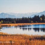 Osterseen Voralpenland Foto W. Willner 6895