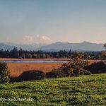 Osterseen Voralpenland Foto W. Willner 7031