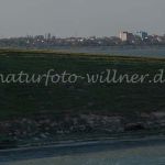 Techirghiol See Schwarzmeerküste bei Constanza Rumänien Foto W. Willner_9370
