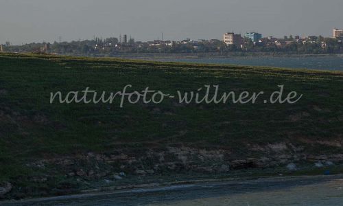 Techirghiol See Schwarzmeerküste bei Constanza Rumänien Foto W. Willner_9370