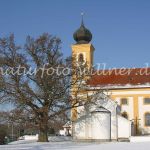 Eiche Eching bei Landshut Foto W. Willner-9630_IMG