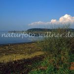 Chiemsee Südufer Foto W. Willner 798