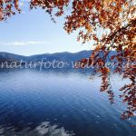 Kochelsee Herbst Foto W. Willner 210