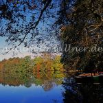 Seeufer Herbst Foto W. Willner 183